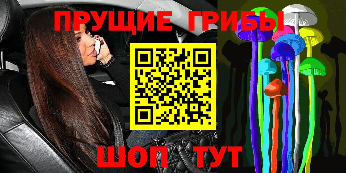 Псилоцибиновые грибы Psilocybe Бугуруслан