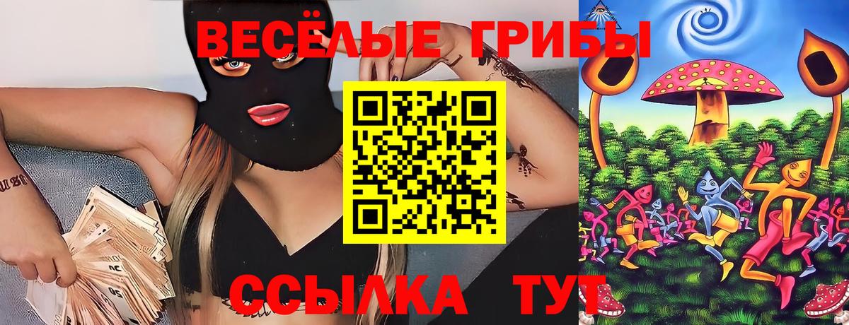 Бугуруслан  Галлюциногенные грибы прущие грибы  Вход с VPN  Галлюциногенные грибы ЛСД 
